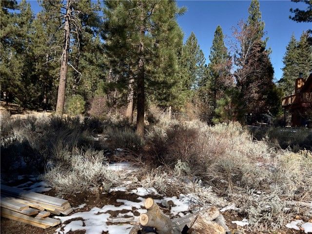 1 Canyon Road, Fawnskin, CA 92333