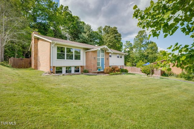 1232 Buchelew Drive, Kingsport, TN 37663