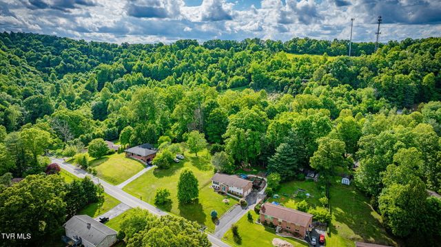 1232 Buchelew Drive, Kingsport, TN 37663
