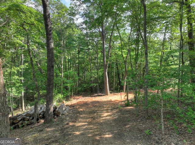 0 Sugar Creek Road, Blue Ridge, GA 30513