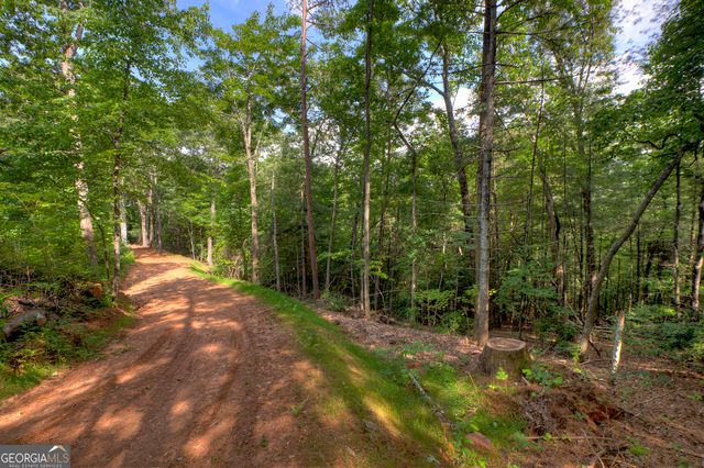 0 Sugar Creek Road, Blue Ridge, GA 30513
