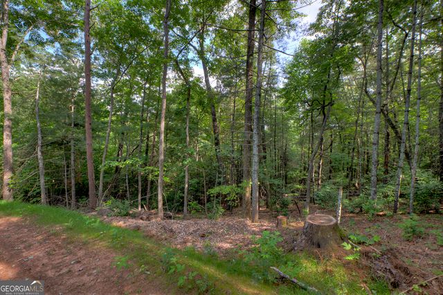 0 Sugar Creek Road, Blue Ridge, GA 30513