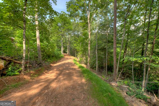 0 Sugar Creek Road, Blue Ridge, GA 30513