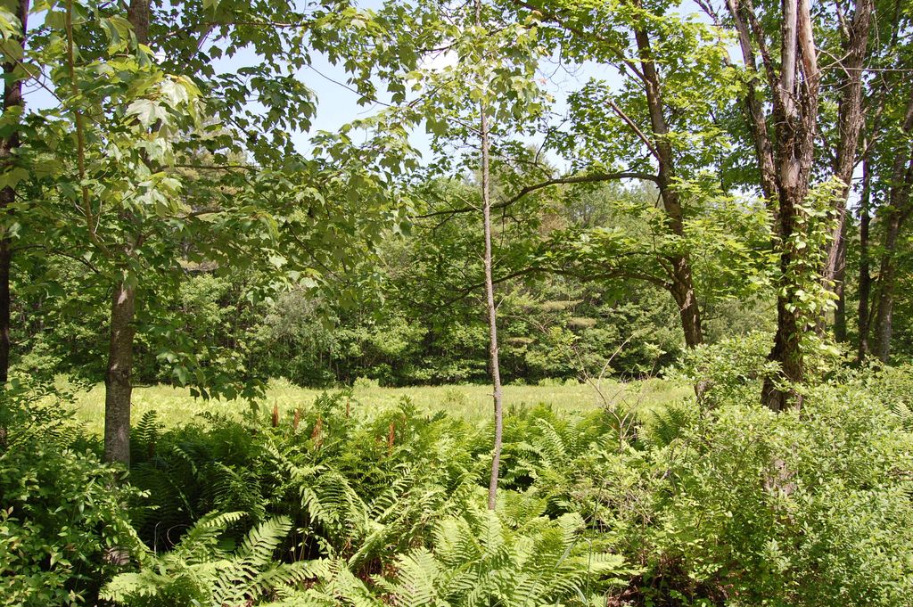 0 New Gloucester Road, North Yarmouth, ME 04097 — photo 3