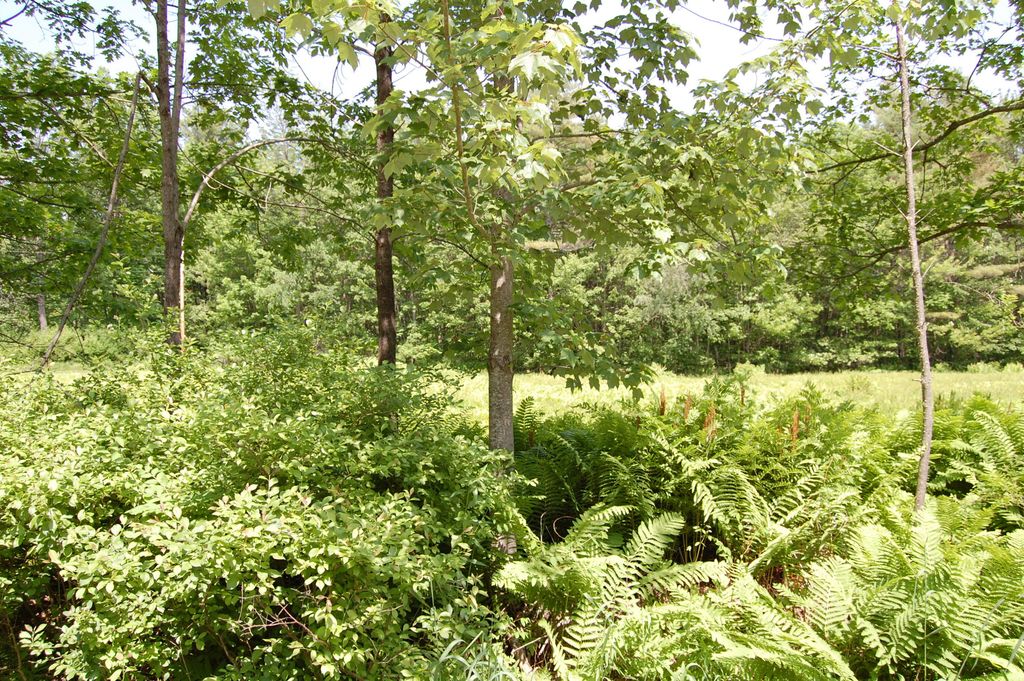 0 New Gloucester Road, North Yarmouth, ME 04097 — photo 4