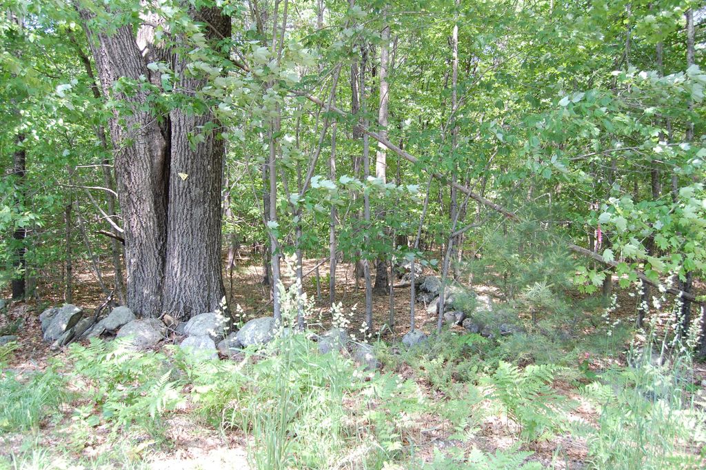 0 New Gloucester Road, North Yarmouth, ME 04097 — photo 5