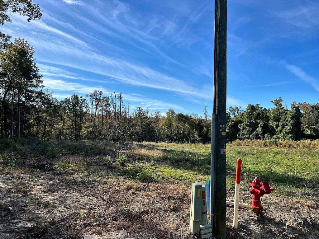 TBD N Highway 905, Longs, SC 29568 — exterior