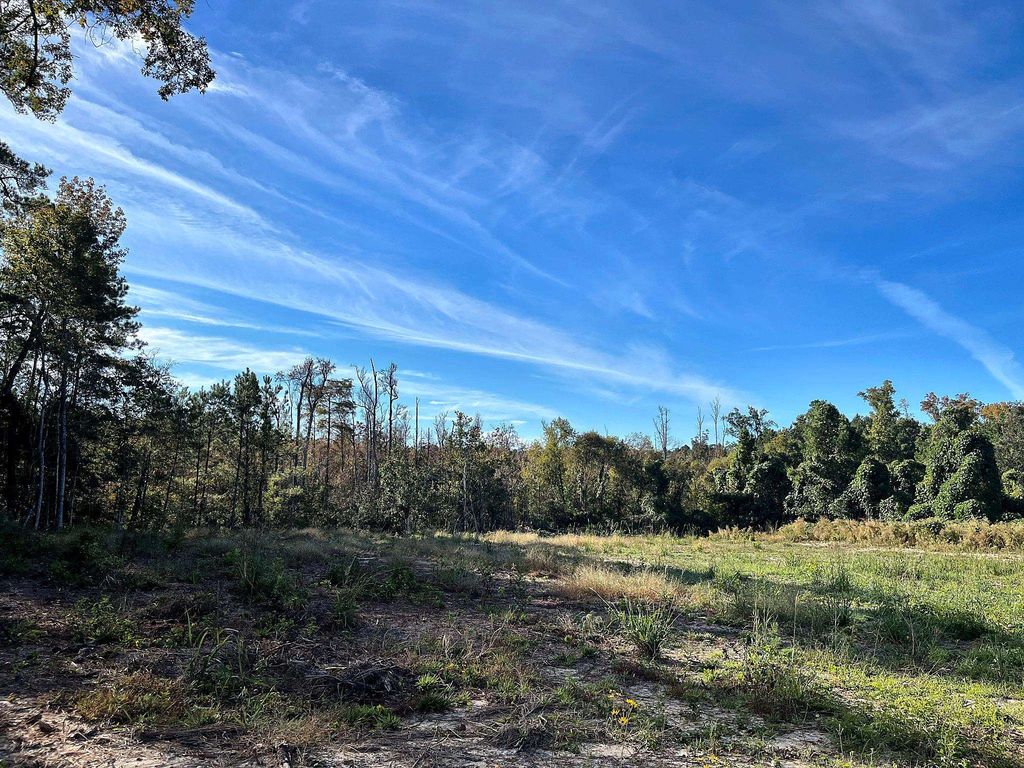 TBD N Highway 905, Longs, SC 29568 — photo 2