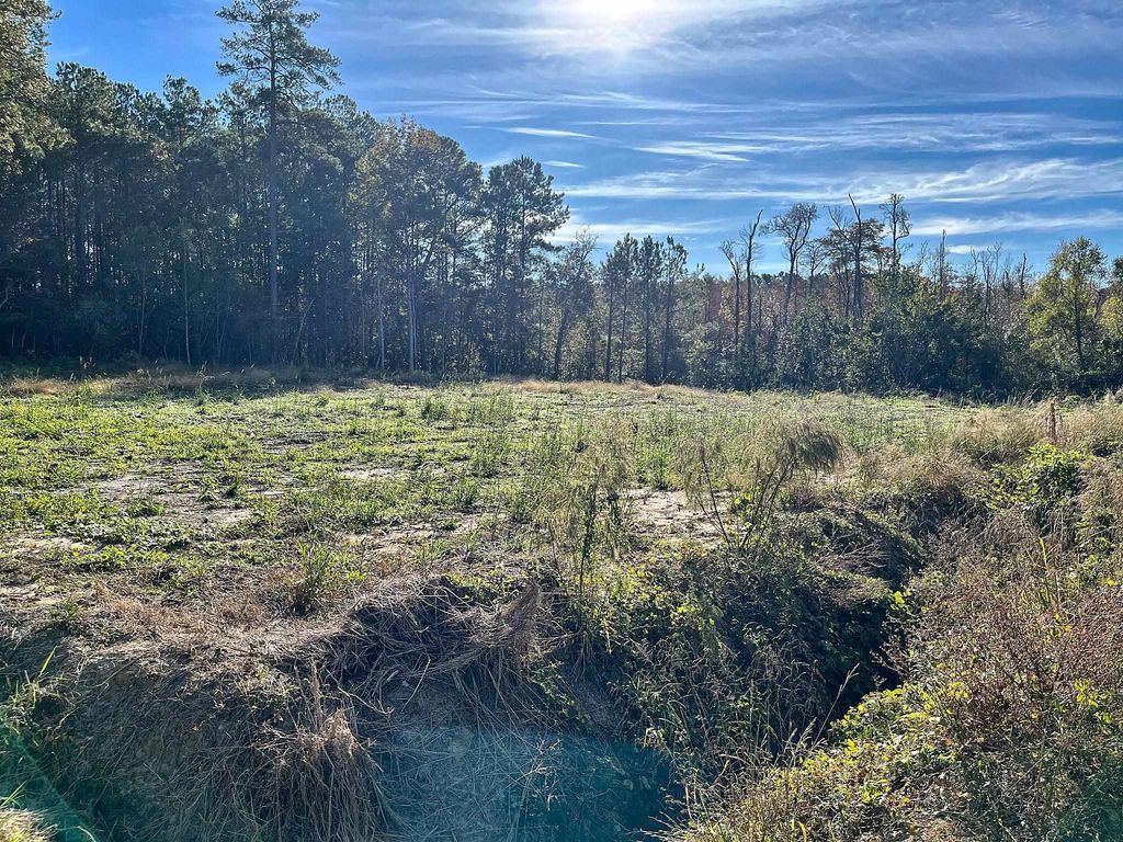 TBD N Highway 905, Longs, SC 29568 — photo 3