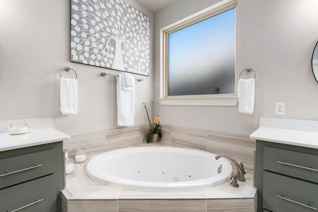 20401 Great Egret LN, Pflugerville, TX 78660