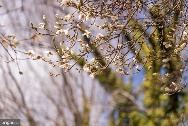 9508 BRIAN JAC LN, Great Falls, VA 22066