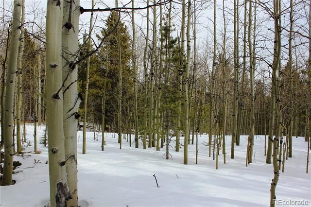 00 Miners Mesa Road, Black Hawk, CO 80422