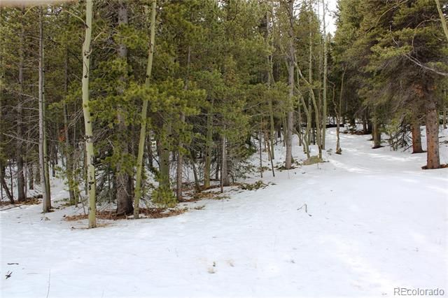 00 Miners Mesa Road, Black Hawk, CO 80422