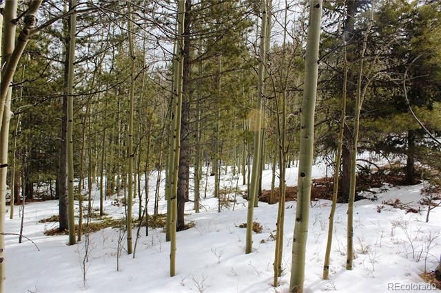 00 Miners Mesa Road, Black Hawk, CO 80422