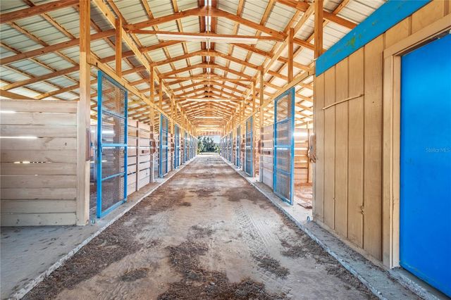 5100 W HWY 329, Reddick, FL 32686