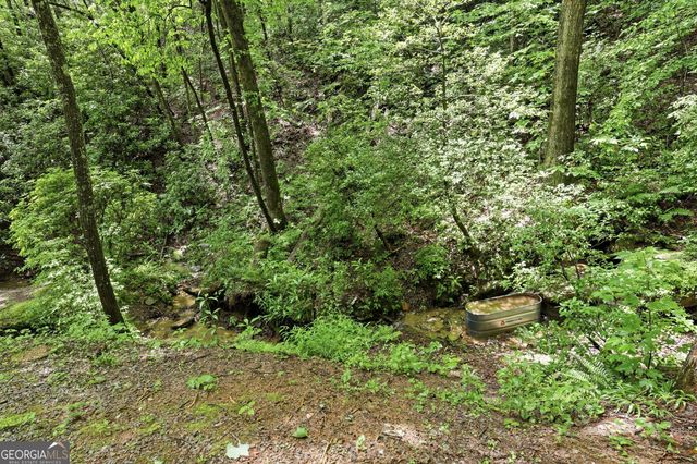 216 Wood Sorrel Lane, Clayton, GA 30525
