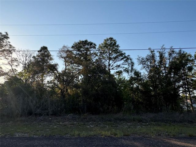 9172 N MARCUS WAY, Citrus Springs, FL 34433