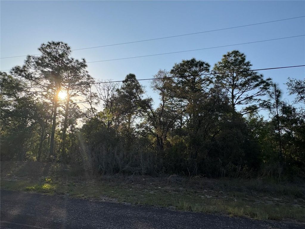 9172 N MARCUS WAY, Citrus Springs, FL 34433