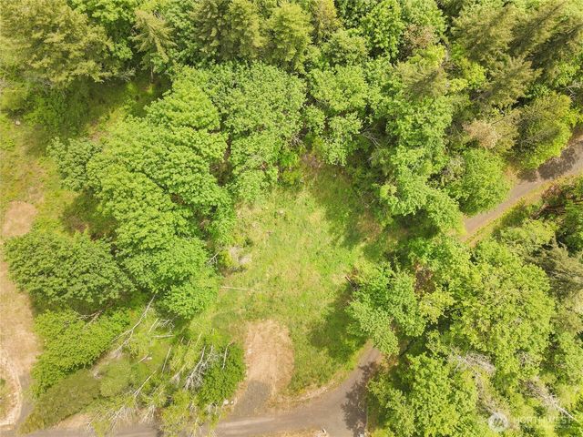 171 E Cascara Cove Lane, Shelton, WA 98584