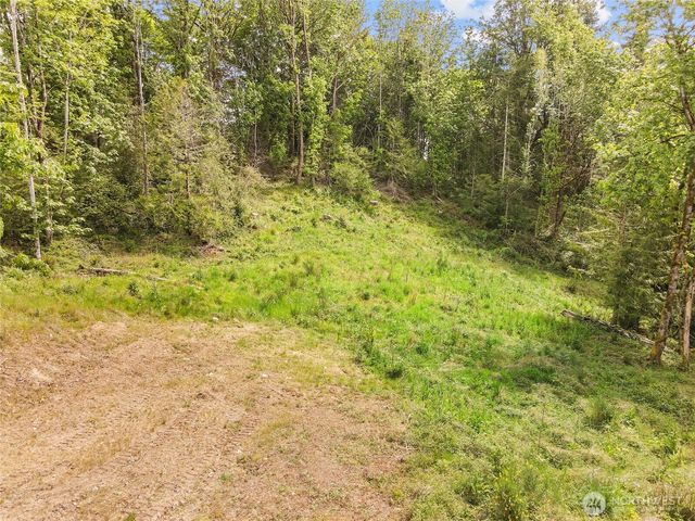 171 E Cascara Cove Lane, Shelton, WA 98584