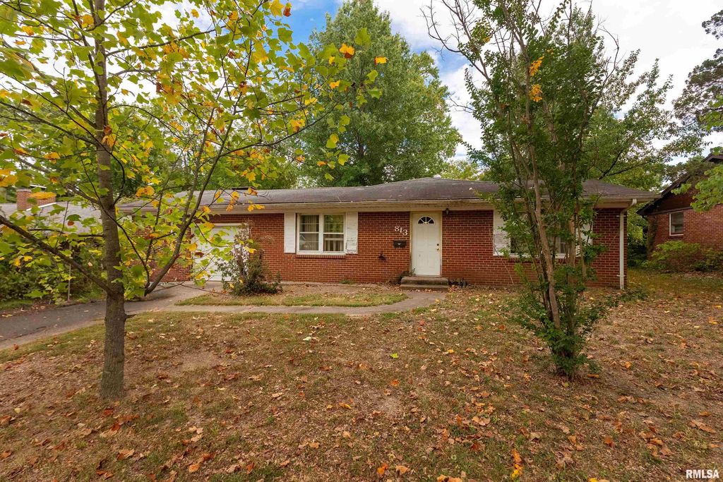 813 S SKYLINE Drive, Carbondale, IL 62901