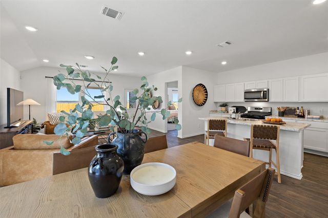 173 Balmorehea ST, Kyle, TX 78640