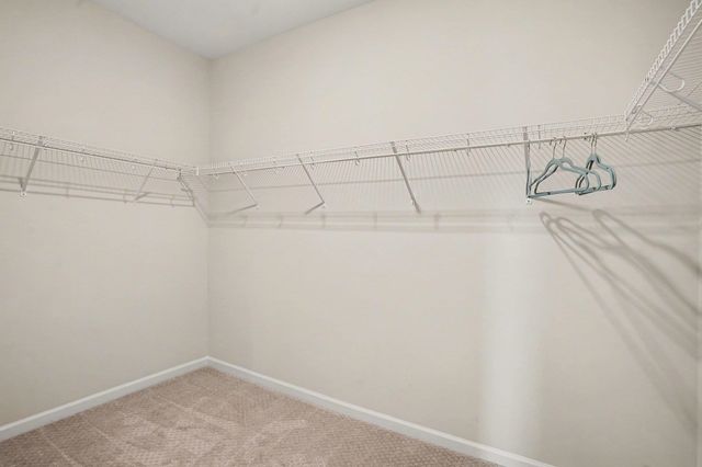 1204 Witch Hazel Way, Longs, SC 29568