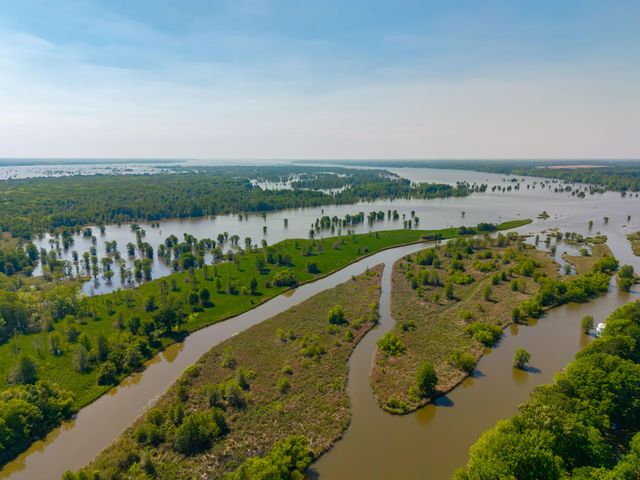 141 Stoudenmire Drive, Cameron, SC 29030