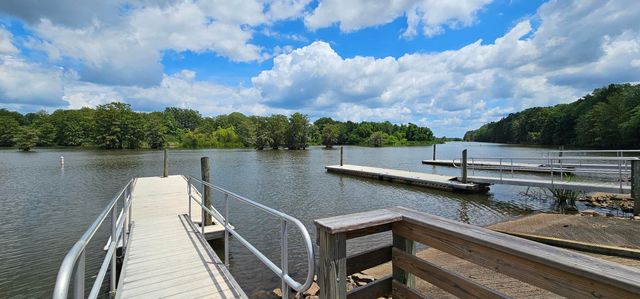 141 Stoudenmire Drive, Cameron, SC 29030