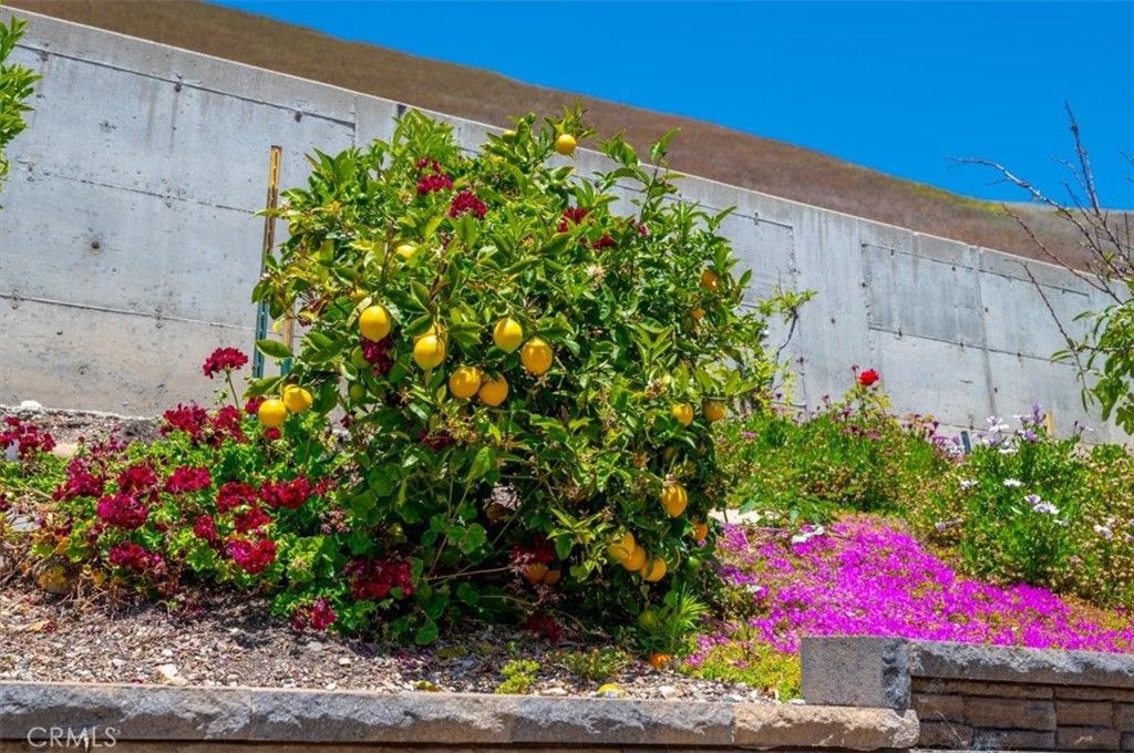 Image 47 of property listing at 1309 Costa Brava, Pismo Beach, CA 93449