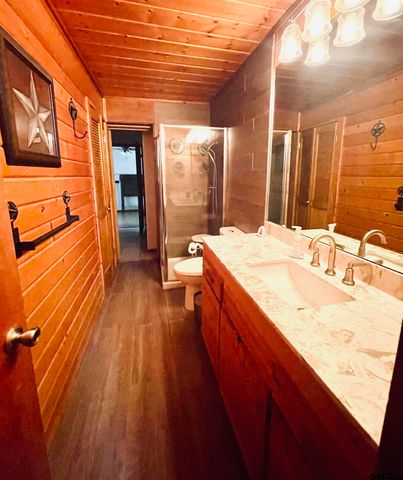 101 PR 5568, Alba, TX 75410