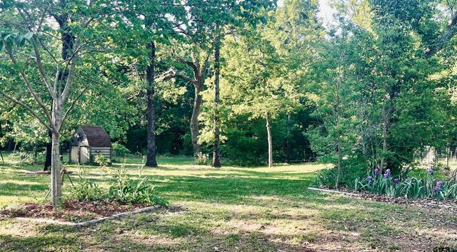 101 PR 5568, Alba, TX 75410