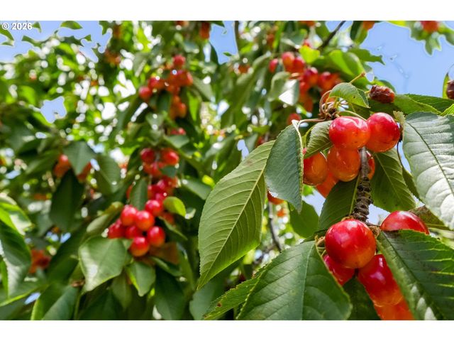 2395 88TH Ave Ne, Salem, OR 97305