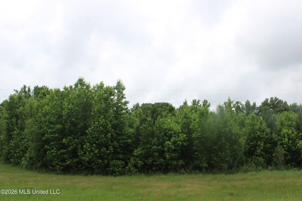 7 Eason Farm Road, Byhalia, MS 38611 — photo 5