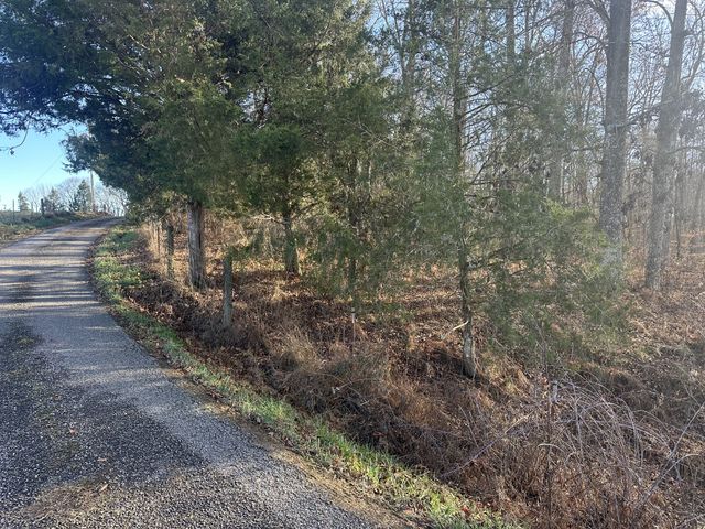 0 Arnold Thomas Rd, Silver Point, TN 38582