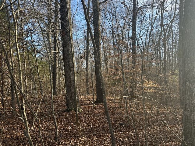 0 Arnold Thomas Rd, Silver Point, TN 38582