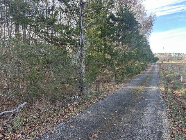 0 Arnold Thomas Rd, Silver Point, TN 38582