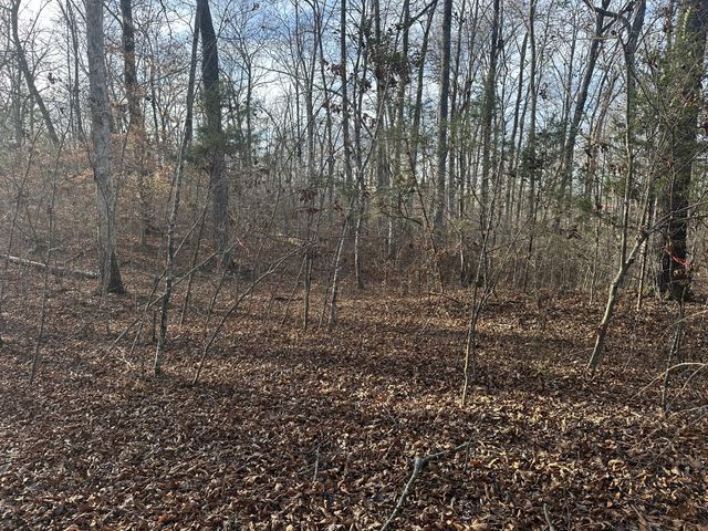 0 Arnold Thomas Rd, Silver Point, TN 38582