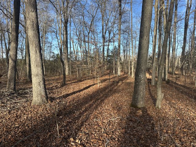 0 Arnold Thomas Rd, Silver Point, TN 38582