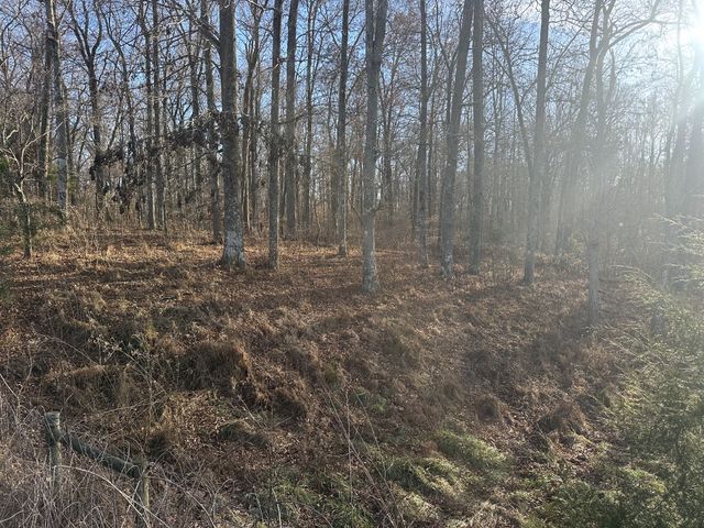 0 Arnold Thomas Rd, Silver Point, TN 38582