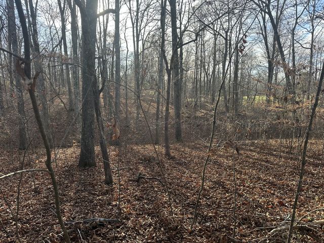 0 Arnold Thomas Rd, Silver Point, TN 38582