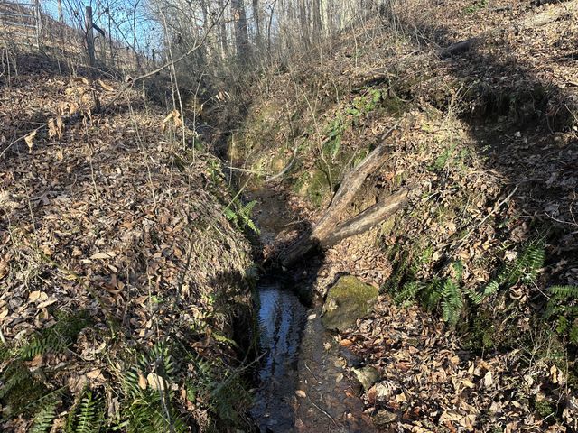 0 Arnold Thomas Rd, Silver Point, TN 38582