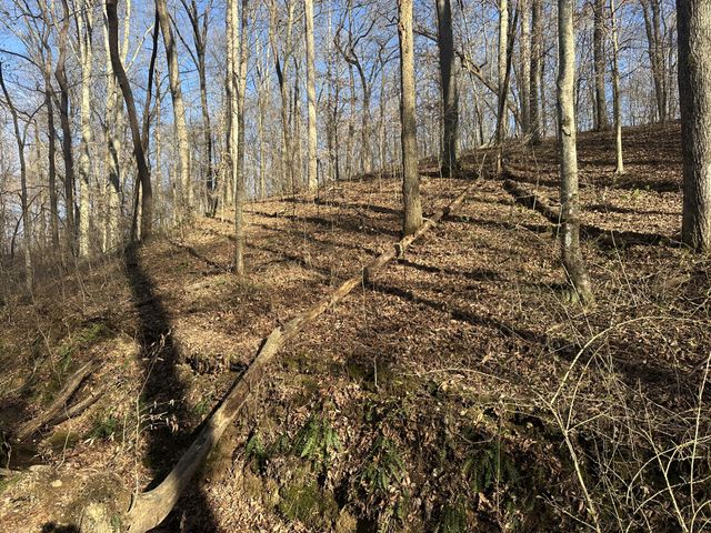 0 Arnold Thomas Rd, Silver Point, TN 38582