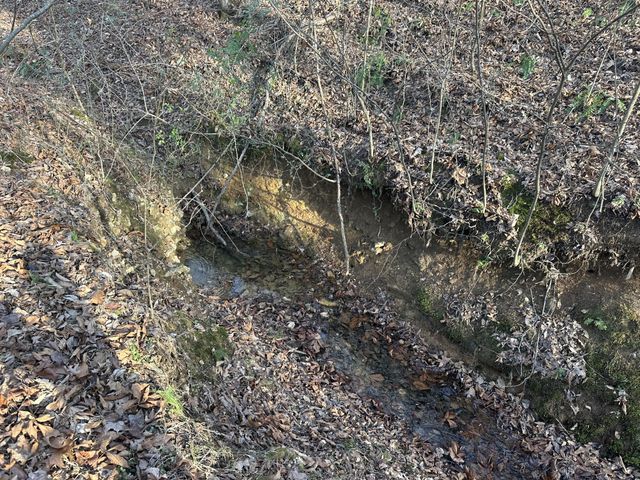 0 Arnold Thomas Rd, Silver Point, TN 38582