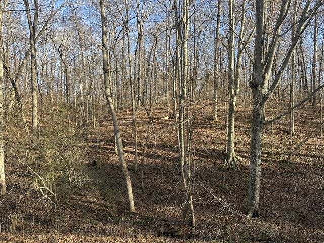 0 Arnold Thomas Rd, Silver Point, TN 38582