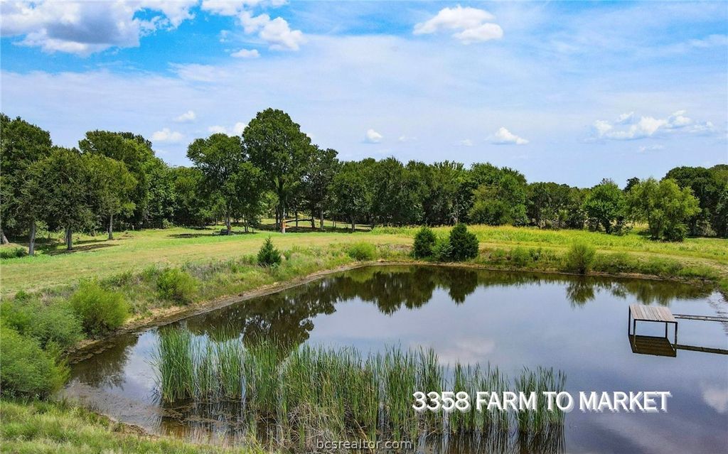 TBD FM 166 (+/-54 acres), Caldwell, TX 77836 — photo 3
