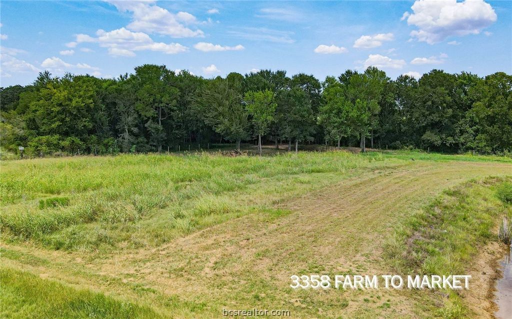 TBD FM 166 (+/-54 acres), Caldwell, TX 77836 — photo 4