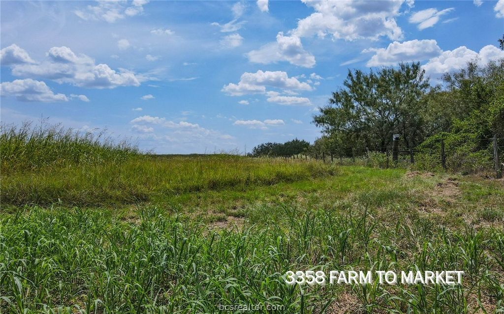 TBD FM 166 (+/-54 acres), Caldwell, TX 77836 — photo 5
