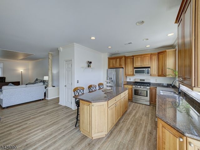 33 Catamaran Ct, Mount Arlington Boro, NJ 07856