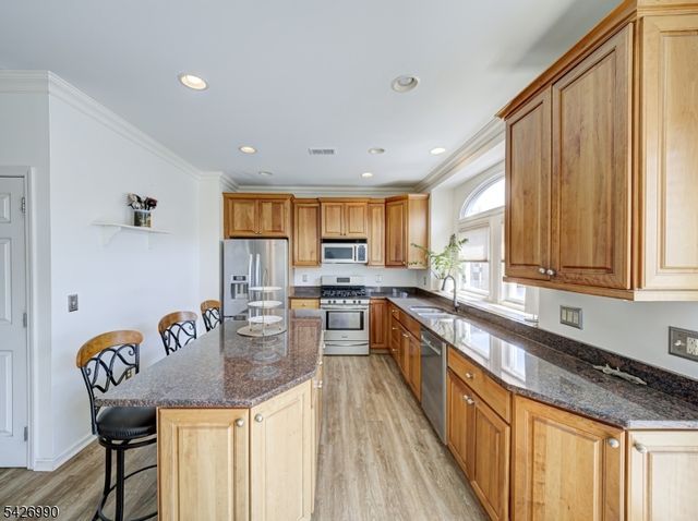 33 Catamaran Ct, Mount Arlington Boro, NJ 07856